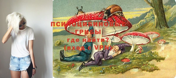 молекула духа Бронницы