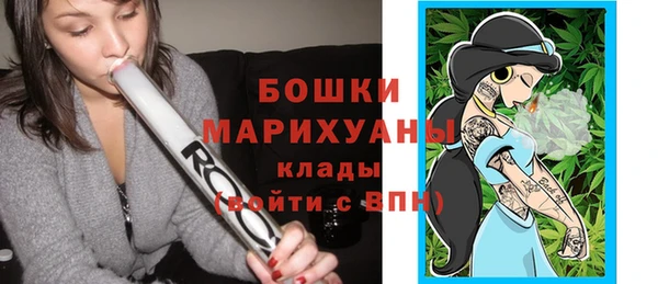 мдпв Бугульма