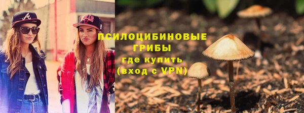 мдпв Бугульма