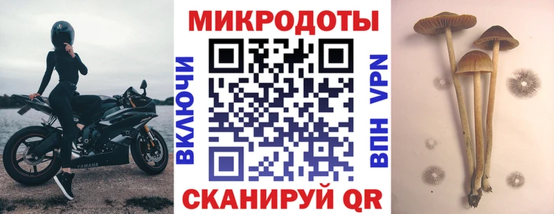 Псилоцибиновые грибы мухоморы  Афипский 